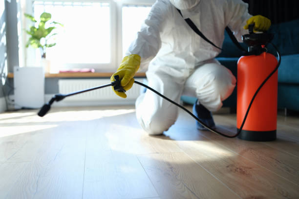 Reliable Infectious Disease Decontamination contractor in Chatsworth, GA by Trauma Clean Pros